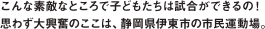 こんな素敵なところで子どもたちは試合ができるの！​思わず大興奮のここは、静岡県伊東市の市民運動場。​