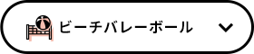 ビーチバレーボール